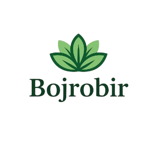 bojrobir.com